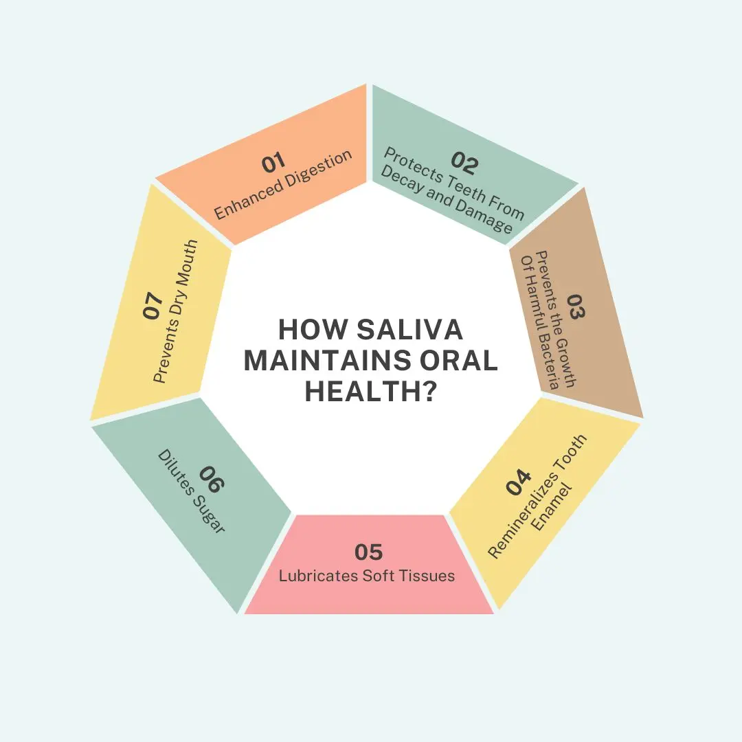 how-saliva-maintain-oral-health